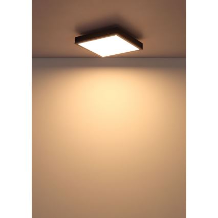 Globo - Светодиодный потолочный светильник LED/12W/230V 3000K 30x30 см