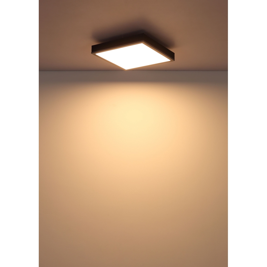 Globo - Светодиодный потолочный светильник LED/12W/230V 3000K 30x30 см