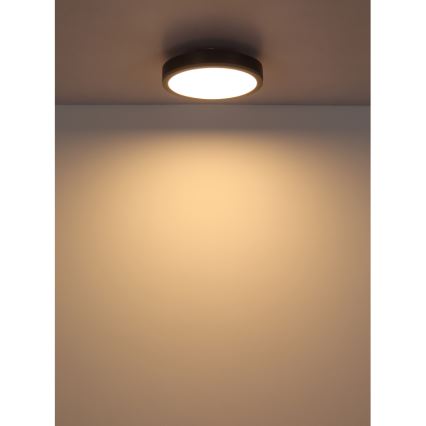 Globo - Стельовий LED світильник LED/12W/230V 3000K діаметр 30 см