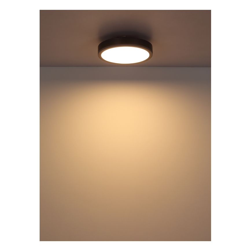 Globo - Стельовий LED світильник LED/12W/230V 3000K діаметр 30 см