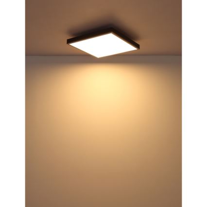 Globo - Стельовий LED світильник LED/24W/230V 3000K 45x45 см