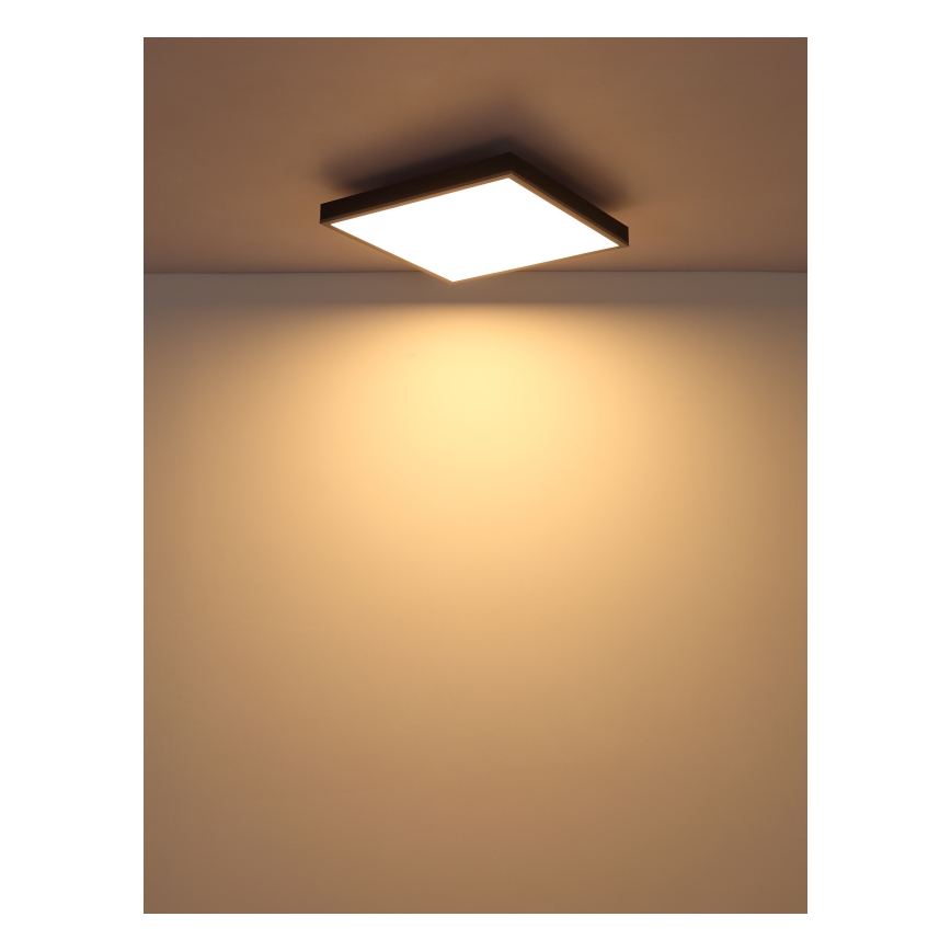 Globo - Стельовий LED світильник LED/24W/230V 3000K 45x45 см