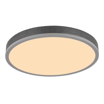 Globo - Стельовий LED світильник LED/24W/230V 3000K діаметр 45 см