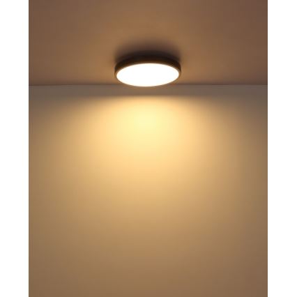 Globo - Стельовий LED світильник LED/24W/230V 3000K діаметр 45 см