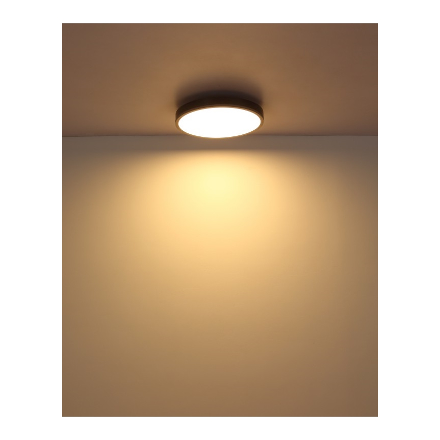 Globo - Стельовий LED світильник LED/24W/230V 3000K діаметр 45 см