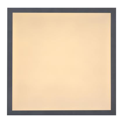 Globo 416080D1 - Светодиодный потолочный светильник DORO LED/12W/230V