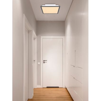 Globo - Стельовий LED світильник LED/12W + LED/4W/230V