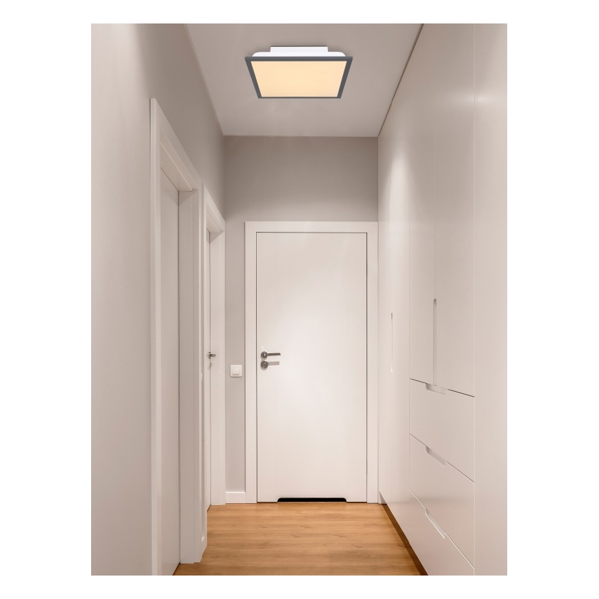 Globo - Стельовий LED світильник LED/12W + LED/4W/230V