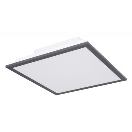 Globo - Стельовий LED світильник LED/12W + LED/4W/230V