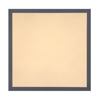 Globo - Стельовий LED світильник LED/12W + LED/4W/230V