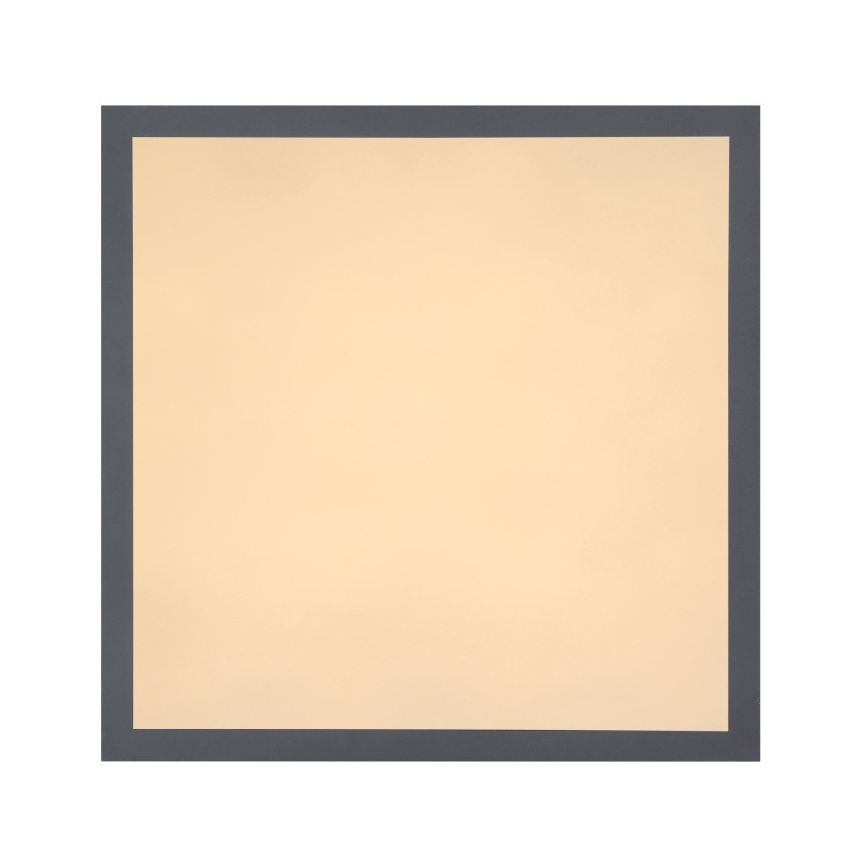 Globo - Стельовий LED світильник LED/12W + LED/4W/230V