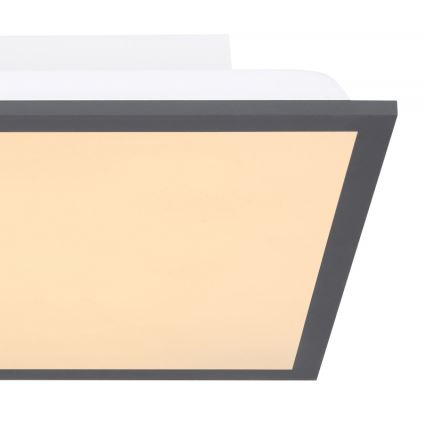 Globo - Стельовий LED світильник LED/12W + LED/4W/230V