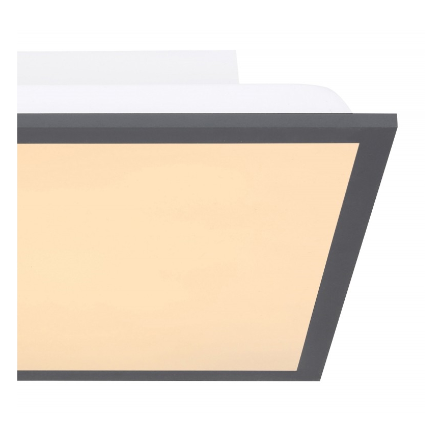 Globo - Стельовий LED світильник LED/12W + LED/4W/230V