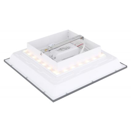 Globo - Стельовий LED світильник LED/12W + LED/4W/230V