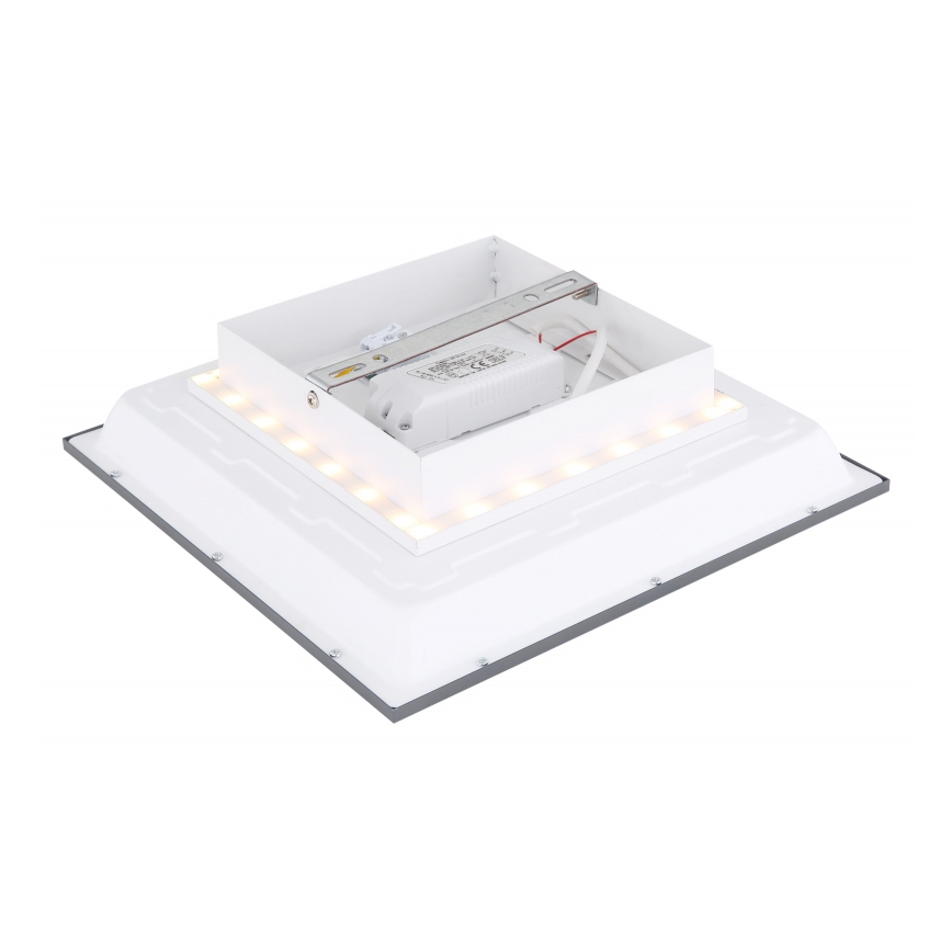 Globo - Стельовий LED світильник LED/12W + LED/4W/230V
