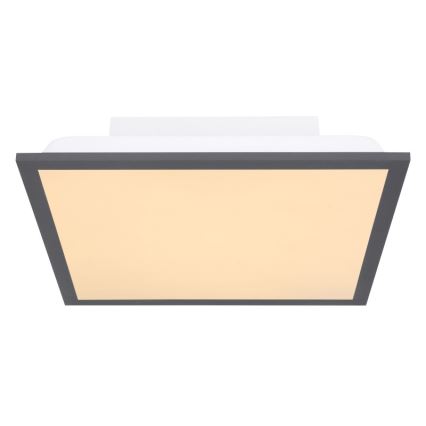 Globo - Светодиодный потолочный светильник LED/12W + LED/4W/230V