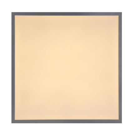 Globo 416080D2 - Светодиодный потолочный светильник DORO LED/24W/230V