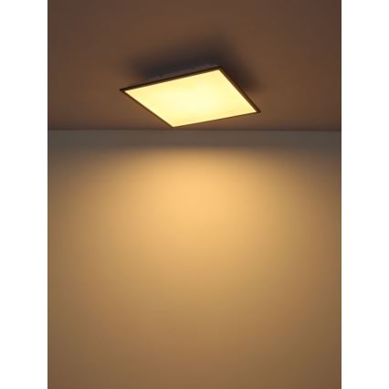 Globo - Світлодіодний стельовий світильник LED/24W/230V