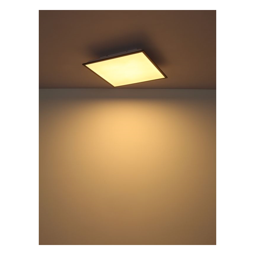Globo - Світлодіодний стельовий світильник LED/24W/230V