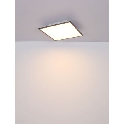 Globo - Світлодіодний стельовий світильник LED/24W/230V