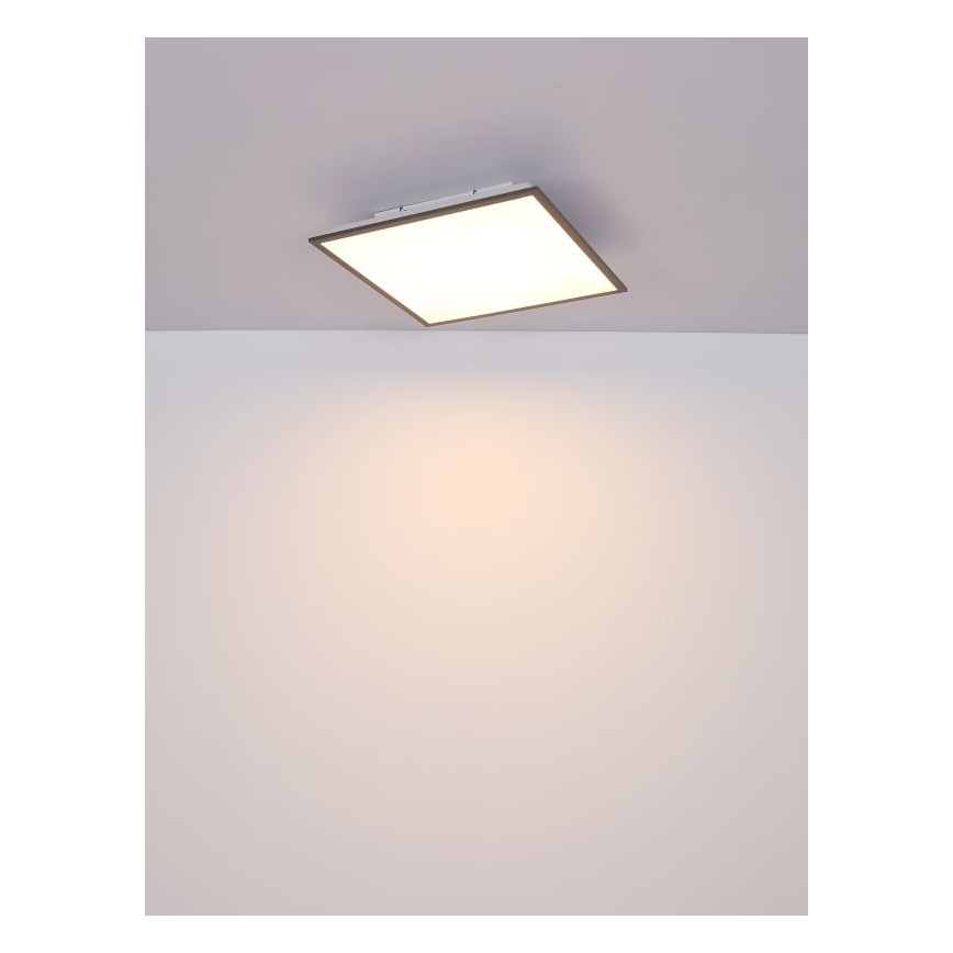 Globo - Світлодіодний стельовий світильник LED/24W/230V