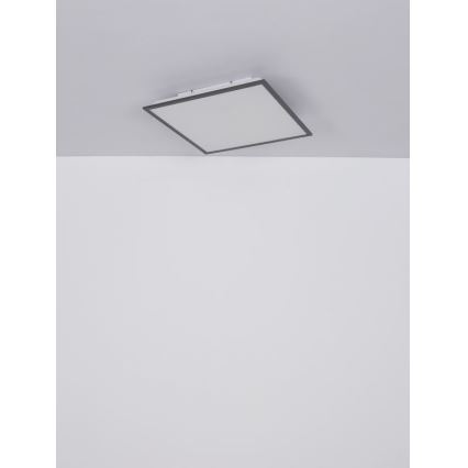 Globo - Світлодіодний стельовий світильник LED/24W/230V