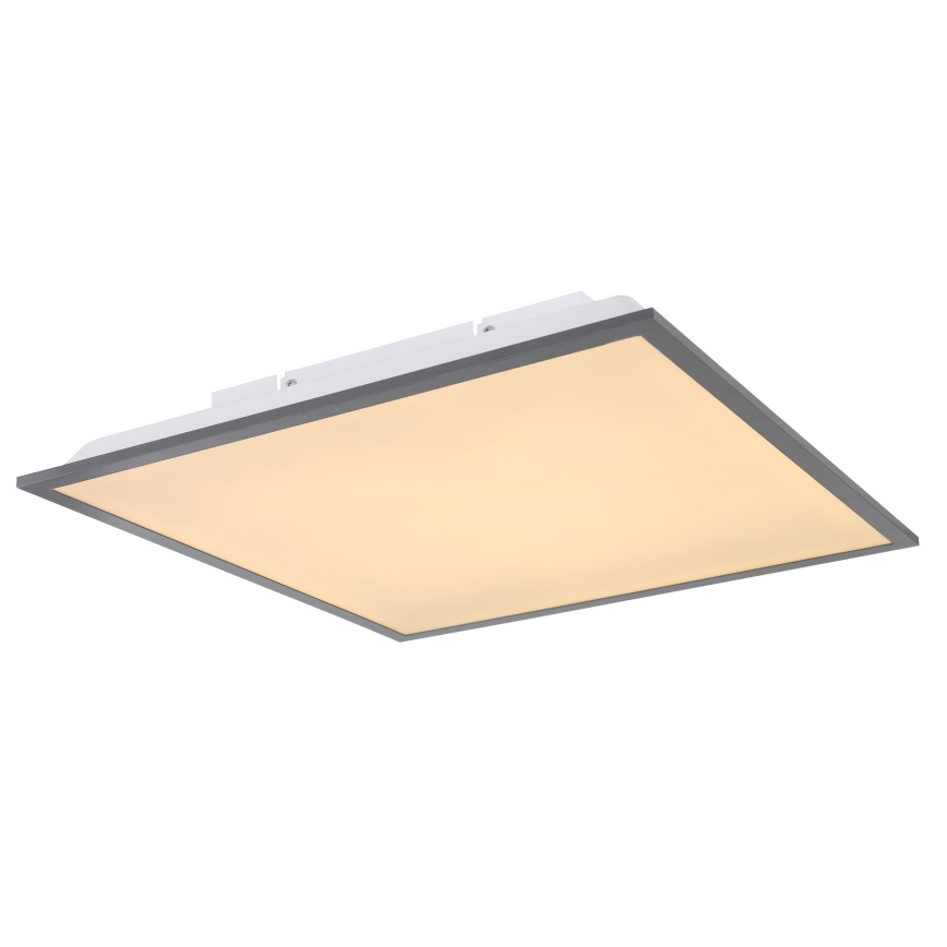 Globo - Світлодіодний стельовий світильник LED/24W/230V