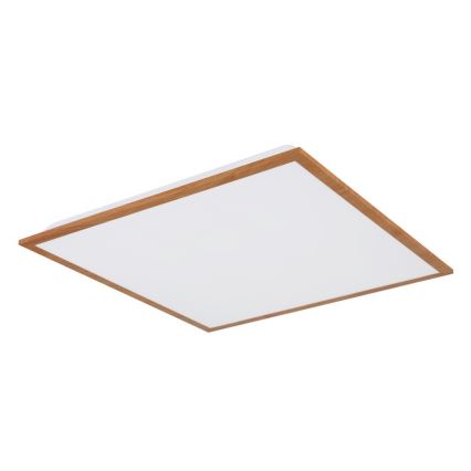 Globo - Стельовий LED світильник LED/24W/230V