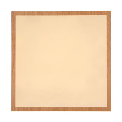 Globo - Светодиодный потолочный светильник LED/24W/230V