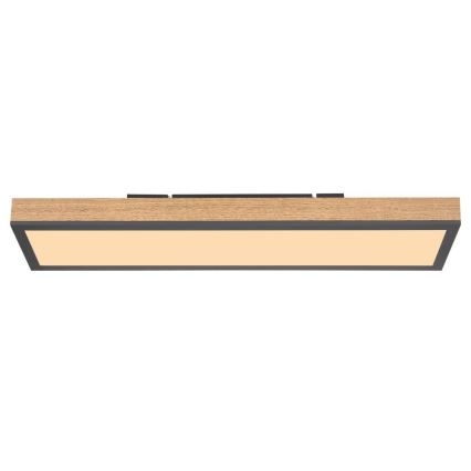 Globo - Светодиодный потолочный светильник LED/18W/230V