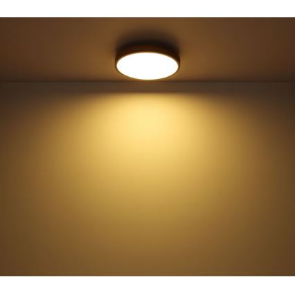 Globo - Стельовий LED світильник LED/12W/230V ⌀ 30 см