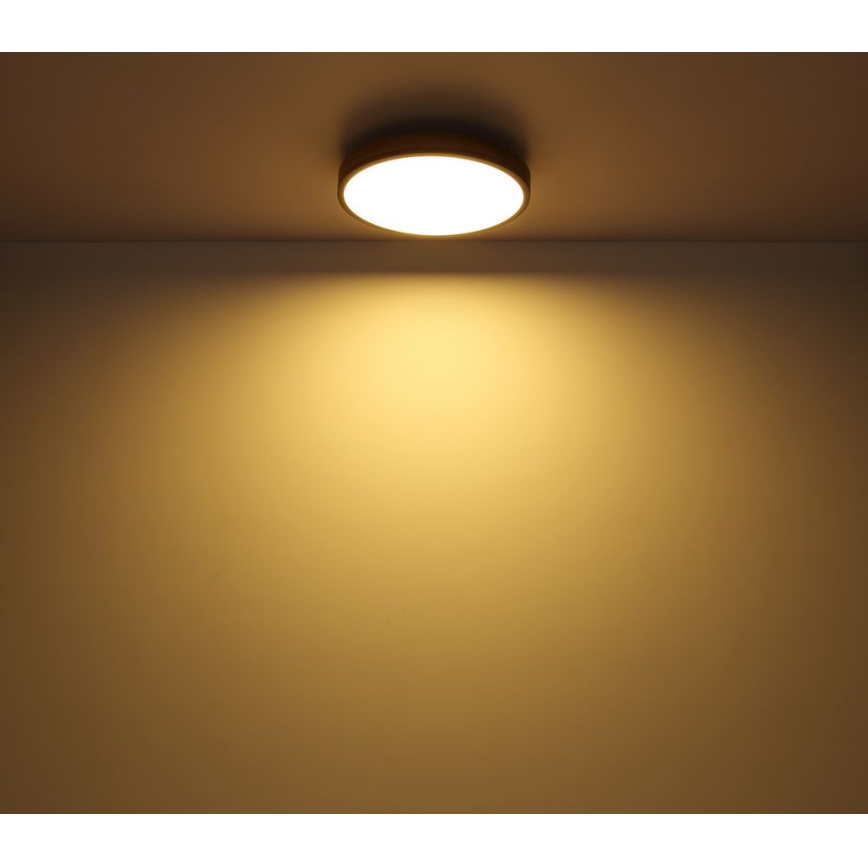 Globo - Стельовий LED світильник LED/12W/230V ⌀ 30 см