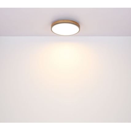 Globo - Стельовий LED світильник LED/12W/230V ⌀ 30 см