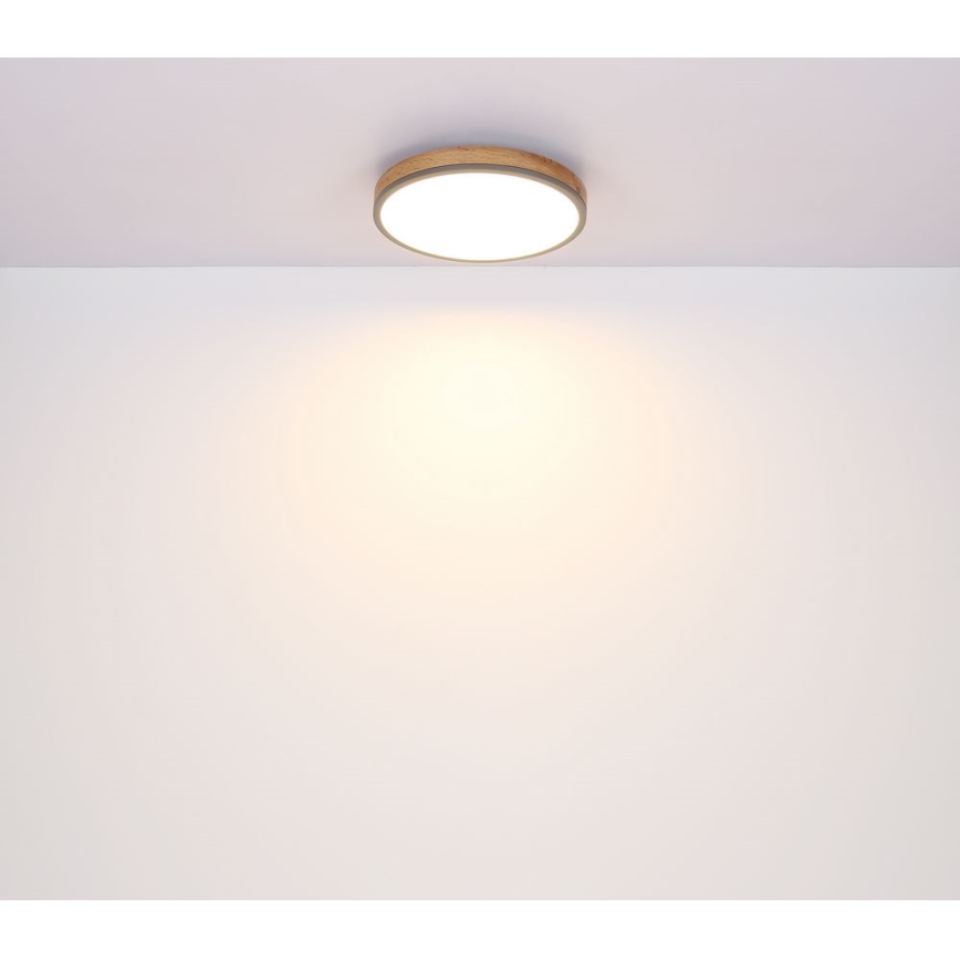 Globo - Стельовий LED світильник LED/12W/230V ⌀ 30 см