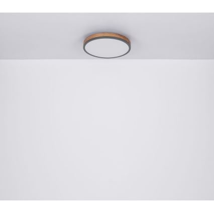 Globo - Стельовий LED світильник LED/12W/230V ⌀ 30 см