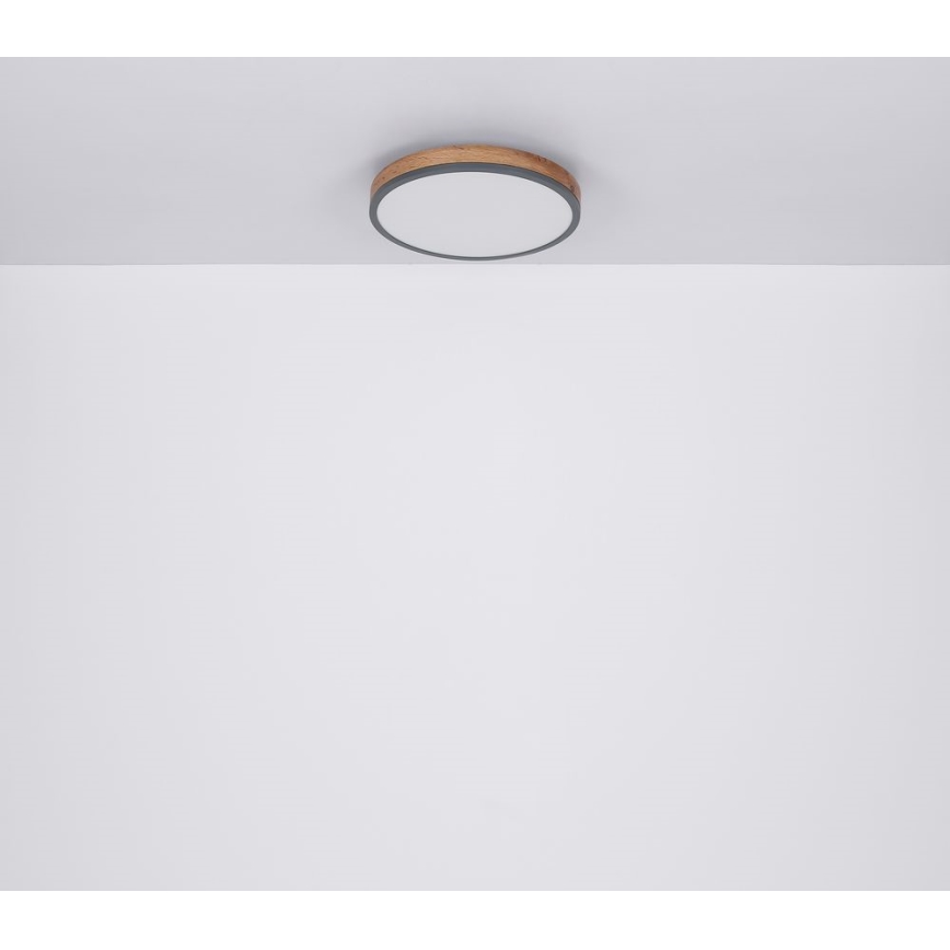 Globo - Стельовий LED світильник LED/12W/230V ⌀ 30 см