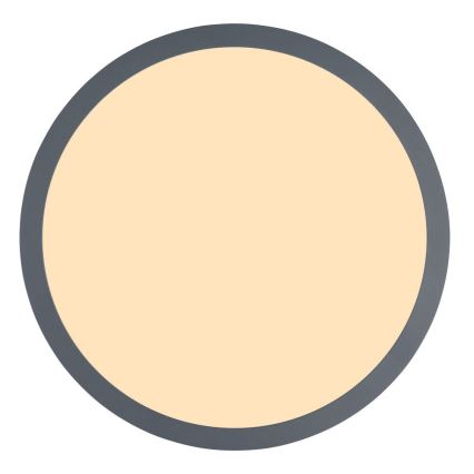 Globo - Стельовий LED світильник LED/12W/230V ⌀ 30 см