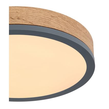 Globo - Стельовий LED світильник LED/12W/230V ⌀ 30 см