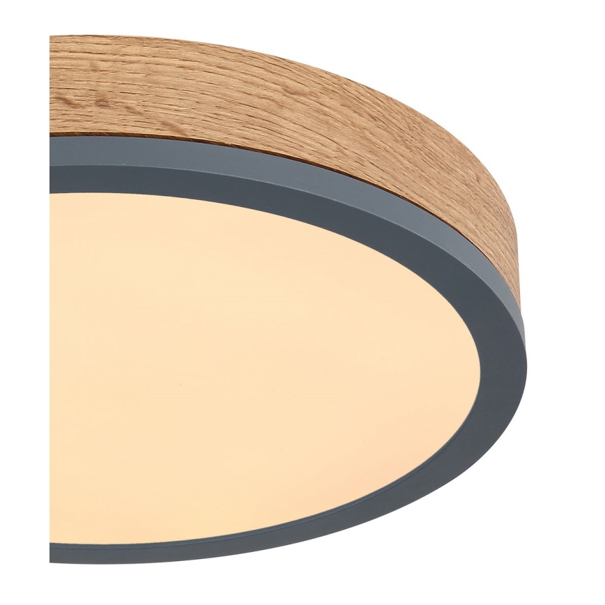 Globo - Стельовий LED світильник LED/12W/230V ⌀ 30 см