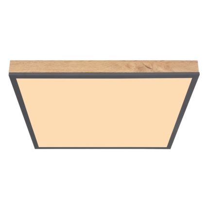 Globo - Светодиодный потолочный светильник LED/24W/230V