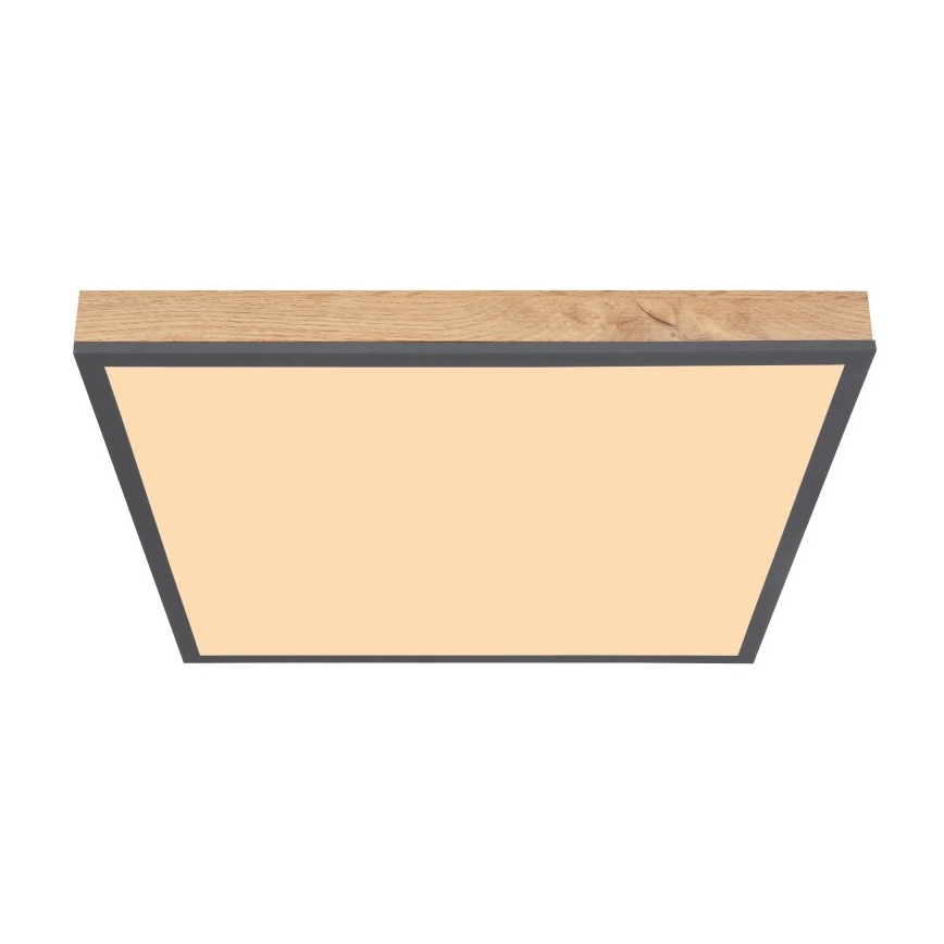 Globo - Светодиодный потолочный светильник LED/24W/230V