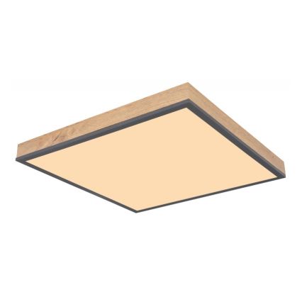 Globo - Светодиодный потолочный светильник LED/24W/230V