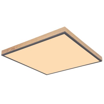 Globo - Стельовий LED світильник LED/36W/230V