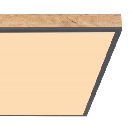 Globo - Стельовий LED світильник LED/36W/230V