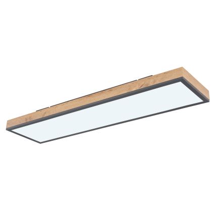Globo - Светодиодный потолочный светильник с регулированием яркости LED/24W/230V 2700-6500K + дистанционное управление