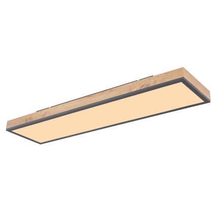 Globo - Светодиодный потолочный светильник с регулированием яркости LED/24W/230V 2700-6500K + дистанционное управление