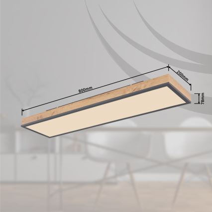 Globo - Светодиодный потолочный светильник с регулированием яркости LED/24W/230V 2700-6500K + дистанционное управление