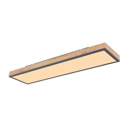 Globo - Стельовий LED світильник LED/24W/230V