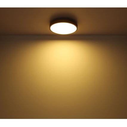 Globo - Светодиодный потолочный светильник с регулированием яркости LED/40W/230V 2700-6500K диаметр 60 cm + дистанционное управление коричневая/серая