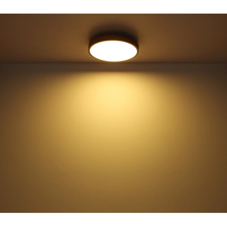 Globo - Светодиодный потолочный светильник с регулированием яркости LED/40W/230V 2700-6500K диаметр 60 cm + дистанционное управление коричневая/серая